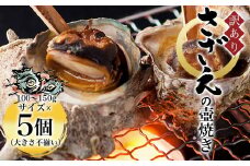 【訳あり】さざえの壺焼き 100～150g サイズ×5個 （大きさ不揃い）  ふるさと納税 訳あり さざえ サザエ 壷 新鮮 京都府 福知山市 京都 奥京都