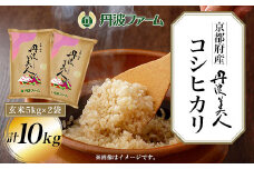 ＜令和６年産新米＞京都府産コシヒカリ　丹波美人　玄米5kg×2袋 計10kg  ふるさと納税 玄米 こめ コシヒカリ こしひかり 10kg 京都府 福知山市