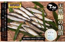 【由良川産】天然鮎の粕漬  ふるさと納税 鮎 あゆ 天然 京都府 福知山市
