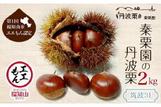 【10月上旬発送】秦栗園の丹波栗 筑波3L 2㎏【第1回福知山市ええもん認定】 大粒 ふるさと納税 栗 くり 人気 和 スイーツ 高級 和菓子 栗菓子 ギフト プレゼント お取り寄せ グルメ 京都府 福知山市　※沖縄・離島配送不可