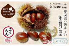 【先行予約10月下旬発送】秦栗園のあま～い氷蔵丹波栗 筑波2L 2㎏【第1回福知山市ええもん認定】【熟成】 大粒 ふるさと納税 栗 くり 人気 和 スイーツ 高級 和菓子 栗菓子 ギフト プレゼント お取り寄せ グルメ 京都府 福知山市　※沖縄・離島配送不可