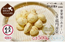 【先行予約11月上旬発送】秦栗園のあま～い氷蔵丹波栗 筑波2L むき500g【第1回福知山市ええもん認定】【熟成】 大粒 ふるさと納税 栗 くり 人気 和 スイーツ 高級 和菓子 栗菓子 ギフト プレゼント お取り寄せ グルメ 京都府 福知山市　※沖縄・離島配送不可