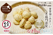 【先行予約11月上旬発送】秦栗園のあま～い氷蔵丹波栗 筑波2L むき1㎏【第1回福知山市ええもん認定】【熟成】 大粒 ふるさと納税 栗 くり 人気 和 スイーツ 高級 和菓子 栗菓子 ギフト プレゼント お取り寄せ グルメ 京都府 福知山市　※沖縄・離島配送不可