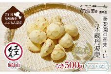【先行予約10月中旬発送】秦栗園のあま～い氷蔵丹波栗 早生玉造2L むき500g【第1回福知山市ええもん認定】【熟成】 大粒 ふるさと納税 栗 くり 人気 和 スイーツ 高級 和菓子 栗菓子 ギフト プレゼント お取り寄せ グルメ 京都府 福知山市　※沖縄・離島配送不可