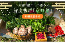 京野菜15品目詰合せ  ふるさと納税 新鮮 鮮度抜群 京野菜 野菜 京都府 福知山市 京都 福知山 ふるさと 奥京都
