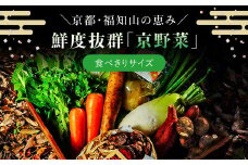 鮮度抜群「京野菜」　食べきりサイズ詰合せ  ふるさと納税 鮮度抜群 京野菜 野菜 京都府 福知山市 京都 福知山 ふるさと 奥京都 