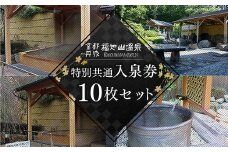 ＜福知山温泉＞特別共通入泉券10枚セット  ふるさと納税 福知山温泉 温泉 お風呂 風呂 入浴券 入泉券 回数券 湯巡り 湯めぐり サウナ ミストサウナ 景色 京都府 福知山市 京都 福知山 奥京都