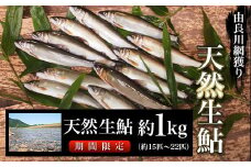 【2025年7月～発送開始】由良川の天然生鮎　約1㎏【網獲り】（約15匹～22匹）  ふるさと納税 鮎 あゆ 天然 天然生鮎 生鮎 アユ 塩焼き 天然鮎 天然あゆ 天然アユ 川魚  由良川 京都府 福知山市 FCF004