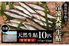 【6/1解禁】由良川の冷凍天然生鮎10匹【竿釣り】（17㎝～23㎝） ふるさと納税 鮎 あゆ 天然 天然生鮎 生鮎 冷凍 アユ 塩焼き 天然鮎 天然あゆ 天然アユ 川魚  由良川 京都府 福知山市 FCF005