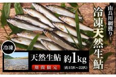 【2025年7月～発送】由良川の冷凍天然生鮎　約1㎏【網獲り】（約15匹～22匹）  ふるさと納税 鮎 あゆ 天然 天然生鮎 生鮎 冷凍 アユ 塩焼き 天然鮎 天然あゆ 天然アユ 川魚  由良川 京都府 福知山市 FCF006