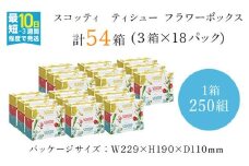 スコッティ ティシュー フラワーボックス 250組 54箱 (1ケース3箱×18パック)  ボックスティッシュ 54箱 ティッシュ ティシュー 長持ち 大容量 リピート 高品質 素敵 保管 クレシア ティッシュペーパー 紙 日用品 消耗品 生活必需品 まとめ買い ふるさと納税 箱ティッシュ 家庭用 防災 常備品 ストック 京都府 福知山市