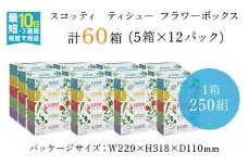 スコッティ ティシュー フラワーボックス 250組 60箱 (1ケース5箱×12パック)  ボックスティッシュ 60箱 ティッシュ ティシュー 長持ち 大容量 リピート 高品質 素敵 保管 クレシア ティッシュペーパー 紙 日用品 消耗品 生活必需品 まとめ買い ふるさと納税 箱ティッシュ 家庭用 防災 常備品 ストック 京都府 福知山市