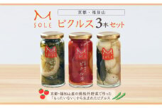 京都・福知山ピクルス　3本セット / ふるさと納税 ピクルス 酢漬け 3本セット 野菜 規格外野菜 万願寺とうがらし うずら卵 ミニトマト 京都府 福知山市