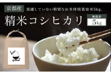 【無洗米】5kg 京都産 精米 コシヒカリ 流通していない 特別なお米 特別栽培米 5kg  ふるさと納税 特別栽培米 無洗米 無洗米 時短 むせんまい コシヒカリ こしひかり 米 こめ コメ 精米 5kg もっちり 旨味 京都府 福知山市 奥京都