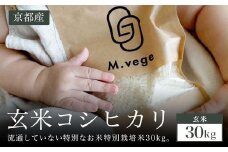 30kg 玄米 京都産コシヒカリ 流通していない 特別なお米 特別栽培米  ふるさと納税 玄米 特別栽培米 コシヒカリ 米 お米 京都産 京都府 福知山市