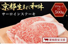 A4ランク以上！京都生まれ和牛 サーロインステーキ（250g×2）【繁殖農家支援】 ふるさと納税 A4 A4以上 黒毛和牛 黒毛 和牛 牛 肉 にく ニク わぎゅう ステーキ サーロイン 霜降り JA 農協 京都府 福知山市