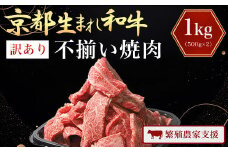 【訳あり】A4ランク以上！京都生まれ和牛 不揃い焼肉1kg（500g×2）【繁殖農家支援】 A4 A4以上 A4ランク 黒毛和牛 黒毛 牛 にく ニク わぎゅう 霜降り ふるさと納税 黒毛和牛 和牛 牛 肉 焼肉 セット JA 農協 京都府 福知山市
