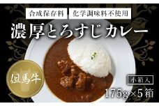 無添加【但馬牛濃厚とろすじカレー】(小箱入り175g×5箱) ふるさと納税 但馬牛 カレー 濃厚 とろすじ とろとろ 旨味 素材の味 果物の味 野菜の味 無添加 飛燕 レ・ジロンデル 京都府 福知山市 京都 福知山 奥京都 ふるさと 