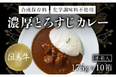 無添加【但馬牛濃厚とろすじカレー】(小箱入り175g×10箱) ふるさと納税 但馬牛 カレー 濃厚 とろすじ とろとろ 旨味 素材の味 果物の味 野菜の味 無添加 飛燕 レ・ジロンデル 京都府 福知山市 京都 福知山 奥京都 ふるさと