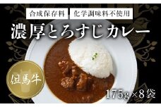 無添加【但馬牛濃厚とろすじカレー】(175g×8袋) ふるさと納税 但馬牛 カレー 濃厚 とろすじ とろとろ 旨味 素材の味 果物の味 野菜の味 無添加 飛燕 レ・ジロンデル 京都府 福知山市 京都 福知山 奥京都 ふるさと