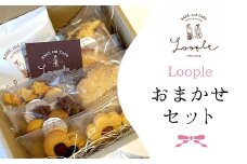 Loopleおまかせset ふるさと納税 人気 スイーツ 焼き菓子 おまかせ 詰合せ クッキー パウンドケーキ スコーン ドリップ  かわいい BAKE CAFE LOOPLE カフェ 京都 福知山 京都府 福知山市
