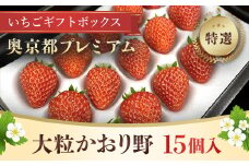 特選・奥京都プレミアムいちごギフトボックス（大粒かおり野15個入り）1箱 ふるさと納税 プレミアム いちご ギフトボックス 大粒 かおり野 THE 610 BASE 京都府 福知山市