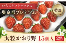 特選・奥京都プレミアムいちごギフトボックス（大粒かおり野15個入り）2箱 ふるさと納税 プレミアム いちご ギフトボックス 大粒 かおり野 THE 610 BASE 京都府 福知山市