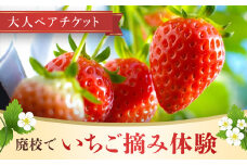THE 610 BASE　廃校でいちご摘み体験（大人ペアチケット）  ふるさと納税 廃校 いちご摘み 体験 大人 ペアチケット THE 610 BASE 京都府 福知山市