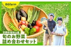京都府福知山産　旬のお野菜詰め合わせセット  ふるさと納税 旬の野菜 新鮮 お楽しみ 詰め合わせ セット 栽培期間中農薬 肥料不使用 京都府 福知山市 京都 福知山 ふるさと 奥京都