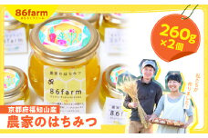 京都府福知山産　農家のはちみつ（260g×2）  ふるさと納税 はちみつ 養蜂 ミツバチ 農薬不使用 京都府 福知山市