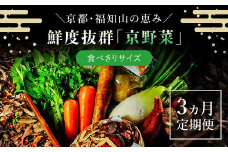 【3ヵ月定期便】鮮度抜群「京野菜」　食べきりサイズ詰合せ  ふるさと納税 京野菜 野菜 新鮮 食べきり 詰合せ 定期便 3か月 京都府 福知山市