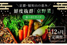 【12ヵ月定期便】鮮度抜群「京野菜」　食べきりサイズ詰合せ  ふるさと納税 京野菜 野菜 新鮮 食べきり 詰合せ 定期便 12か月 京都府 福知山市