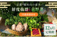 【12ヵ月定期便】鮮度抜群「京野菜」15品目詰合せ  ふるさと納税 京野菜 野菜 新鮮 15品目 詰合せ 定期便 12か月 京都府 福知山市