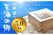 【令和6年産】福知山産コシヒカリ『天海の郷』天空に広がる天海の郷　5kg（白米） ふるさと納税  こめ コメ 米 コシヒカリ こしひかり おいしい 美味しい 白米 精米 天空 雲海 天海の郷 京都府 福知山市