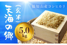 【令和6年産】福知山産コシヒカリ『天海の郷』天空に広がる天海の郷　5kg（玄米） ふるさと納税  こめ コメ 米 コシヒカリ こしひかり 玄米 おいしい 美味しい 美容 健康 天空 雲海 天海の郷 京都府 福知山市