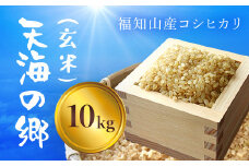 【令和6年産】福知山産コシヒカリ『天海の郷』天空に広がる天海の郷　10kg（玄米） ふるさと納税  こめ コメ 米 コシヒカリ こしひかり 玄米 おいしい 美味しい 美容 健康 天空 雲海 天海の郷 京都府 福知山市