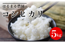 【先行予約】令和7年産新米 京都丹波福知山産 はるまる農園のコシヒカリ 5kg ／ ふるさと納税 精米 米 こめ ご飯 ごはん 白米 コシヒカリ こしひかり 特別栽培米 FCCN009