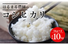【先行予約】令和7年産新米 京都丹波福知山産 はるまる農園のコシヒカリ 5kg×２ 合計10kg ／ ふるさと納税 精米 米 こめ ご飯 ごはん 白米 コシヒカリ こしひかり 特別栽培米 FCCN010