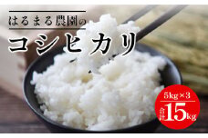 【先行予約】令和7年産新米 京都丹波福知山産 はるまる農園のコシヒカリ 5kg×3 合計15kg ／ ふるさと納税 精米 米 こめ ご飯 ごはん 白米 コシヒカリ こしひかり 特別栽培米 FCCN011