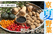 京夏野菜詰め合わせ 6～7種【予約】 FCCN012 / ふるさと納税  京夏野菜 京野菜 野菜 詰め合わせ 詰合せ つめあわせ 詰合 農薬不使用 産地直送 新鮮 新鮮野菜 夏野菜 旬の野菜 旬 京都府 福知山市 