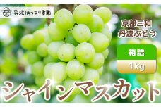 【先行予約】8月下旬発送開始！京都三和・丹波ぶどう＜シャインマスカット・箱詰＞1kg  ふるさと納税 ぶどう ブドウ 葡萄 丹波ぶどう シャインマスカット 1kg 甘い 大粒 三和町 特産 丹波 京都府 福知山市 FCCO005