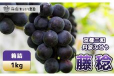 【先行予約】8月下旬発送開始！京都三和・丹波ぶどう＜藤稔・箱詰＞1kg  ふるさと納税 ぶどう ブドウ 葡萄 丹波ぶどう ふじみのり 藤稔 1kg 甘い 濃厚 瑞々しい 三和町 特産 丹波 京都府 福知山市 FCCO006