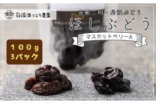 京都三和・丹波ぶどう＜マスカットベリーA>ほしぶどう（ドライ）　100g　3パック  ふるさと納税 ドライフルーツ ほしぶどう 干しブドウ レーズン ドライレーズン 三和ぶどう マスカットベリーA 100g 3パック 手作り 三和町 特産 丹波 京都府 福知山市 FCCO008