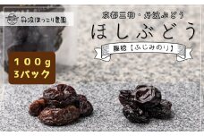 京都三和・丹波ぶどう＜藤稔>ほしぶどう（ドライ）　100g　3パック  ふるさと納税 ドライフルーツ ほしぶどう 干しブドウ レーズン ドライレーズン 三和ぶどう ふじみのり 藤稔 100g 3パック 手作り 三和町 特産 丹波 京都府 福知山市 FCCO010