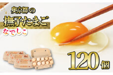 奥京都の撫子たまご 120個入(110個＋割れ保証10個) 三和鶏園 MS～LLサイズ / FCDZ003