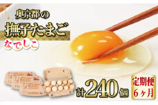 【6ヵ月定期便】奥京都の撫子たまご 40個×6ヶ月(割れ保証10個) 三和鶏園 MS～LLサイズ / FCDZ006