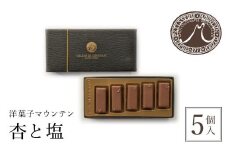 洋菓子マウンテン　杏と塩 / スイーツ 洋菓子 チョコレート ショコラ ショコラティエ 世界大会 総合優勝 ミルクチョコレート 杏 フルーティ 死海の塩 5個入 ギフト プレゼント 福知山市 京都府 FCEA001