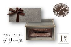 洋菓子マウンテン　テリーヌ / スイーツ 洋菓子 チョコレート ショコラ ショコラティエ テリーヌ 長時間低温 蒸し焼き カカオの風味 なめらか ギフト プレゼント 福知山市 京都府 FCEA004