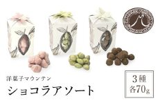洋菓子マウンテン　ショコラアソート（3種類/フィグルビー・ピスターシュ・ノワゼットショコラ） / スイーツ 洋菓子 チョコレート ショコラ ショコラティエ 人気のショコラ 贅沢 3種 セット 詰合せ ギフト プレゼント 福知山市 京都府 FCEA003