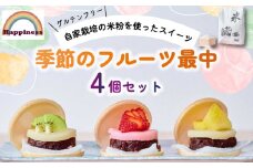 季節のフルーツ最中4個セット（グルテンフリー） / フルーツ最中 フルーツ 最中 和菓子 米粉 グルテンフリー 厳選 くだもの デザート 福知山市 京都府 FCDY002